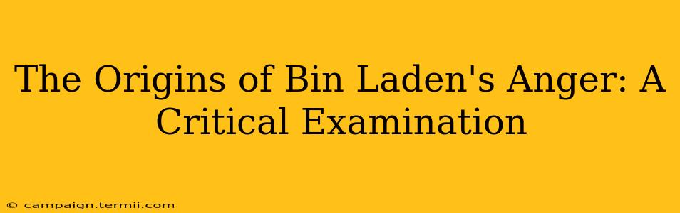 The Origins of Bin Laden's Anger: A Critical Examination