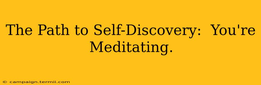 The Path to Self-Discovery:  You're Meditating.