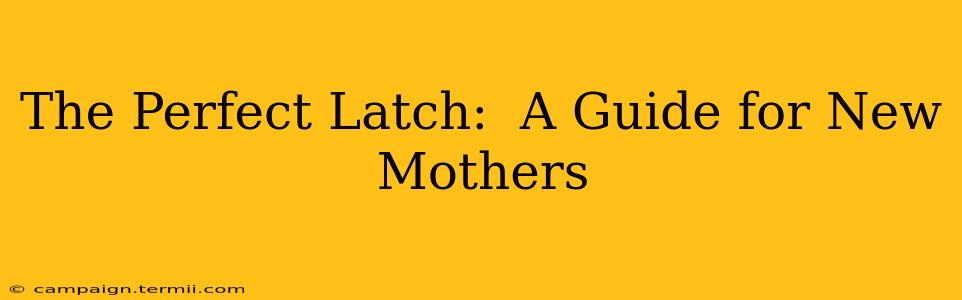 The Perfect Latch:  A Guide for New Mothers