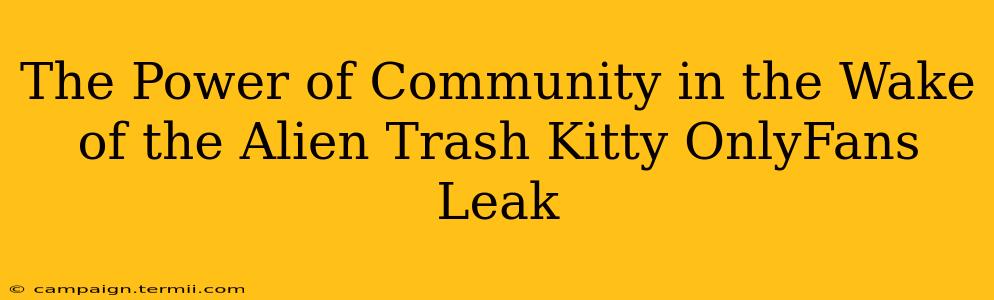 The Power of Community in the Wake of the Alien Trash Kitty OnlyFans Leak