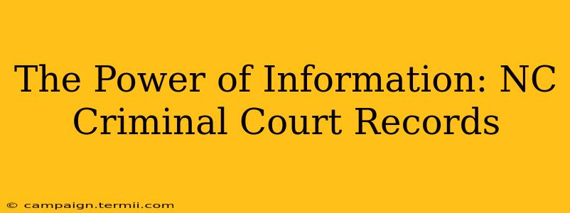 The Power of Information: NC Criminal Court Records