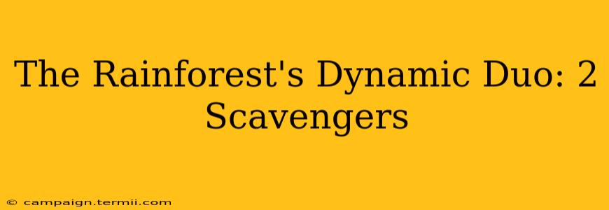 The Rainforest's Dynamic Duo: 2 Scavengers