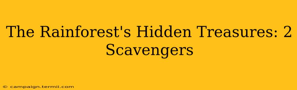 The Rainforest's Hidden Treasures: 2 Scavengers