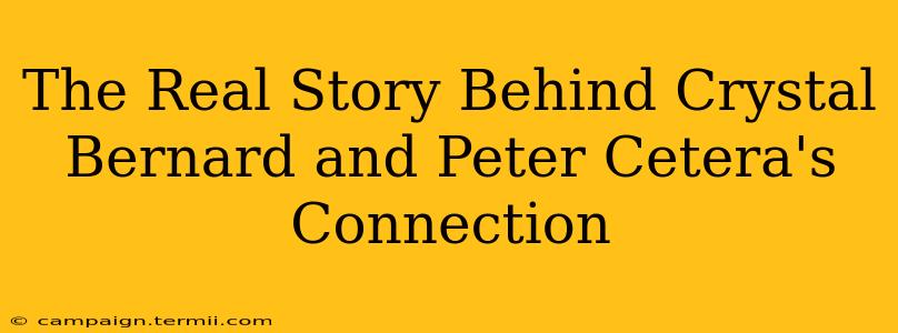 The Real Story Behind Crystal Bernard and Peter Cetera's Connection