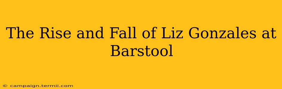 The Rise and Fall of Liz Gonzales at Barstool