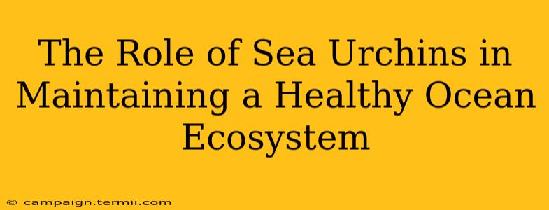 The Role of Sea Urchins in Maintaining a Healthy Ocean Ecosystem