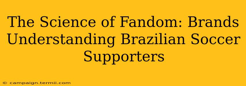 The Science of Fandom: Brands Understanding Brazilian Soccer Supporters