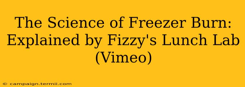 The Science of Freezer Burn: Explained by Fizzy's Lunch Lab (Vimeo)