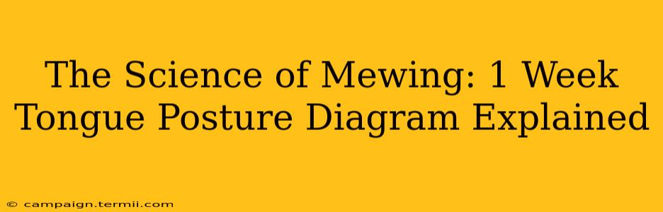 The Science of Mewing: 1 Week Tongue Posture Diagram Explained