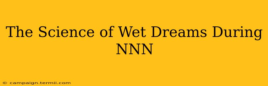 The Science of Wet Dreams During NNN