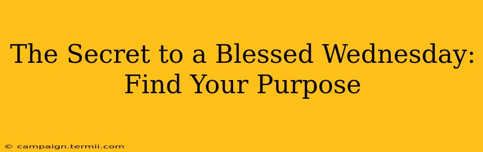 The Secret to a Blessed Wednesday: Find Your Purpose