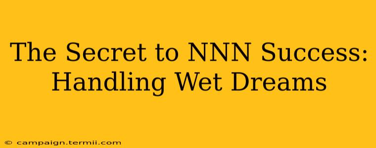 The Secret to NNN Success: Handling Wet Dreams