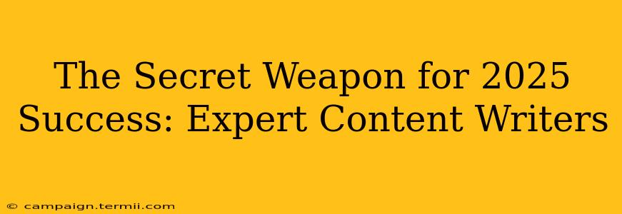 The Secret Weapon for 2025 Success: Expert Content Writers