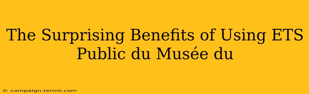 The Surprising Benefits of Using ETS Public du Musée du