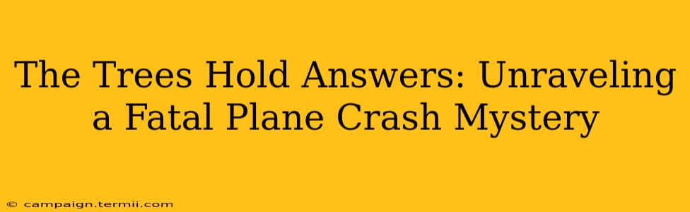 The Trees Hold Answers: Unraveling a Fatal Plane Crash Mystery