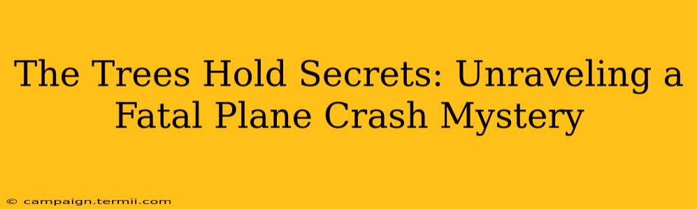 The Trees Hold Secrets: Unraveling a Fatal Plane Crash Mystery