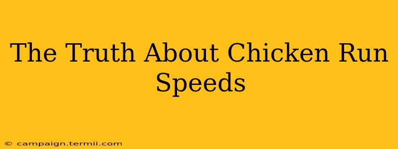 The Truth About Chicken Run Speeds