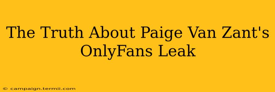 The Truth About Paige Van Zant's OnlyFans Leak