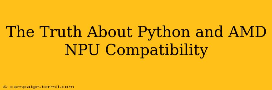 The Truth About Python and AMD NPU Compatibility