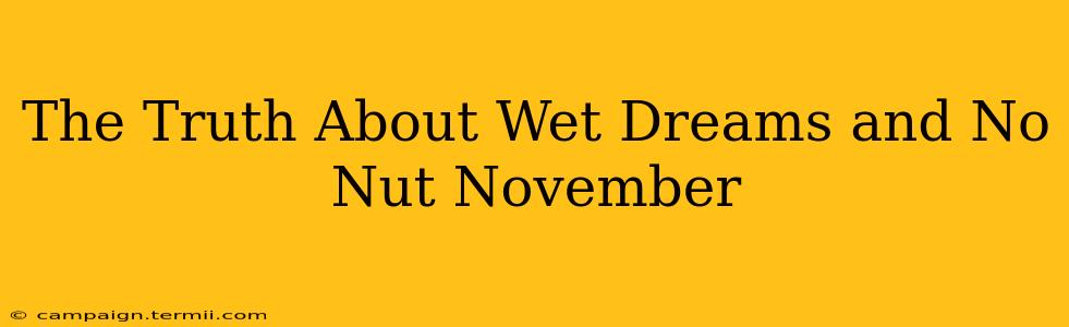 The Truth About Wet Dreams and No Nut November