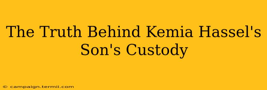 The Truth Behind Kemia Hassel's Son's Custody