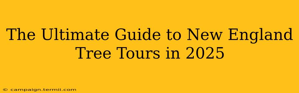 The Ultimate Guide to New England Tree Tours in 2025