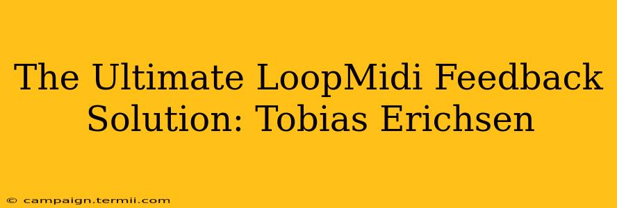 The Ultimate LoopMidi Feedback Solution: Tobias Erichsen