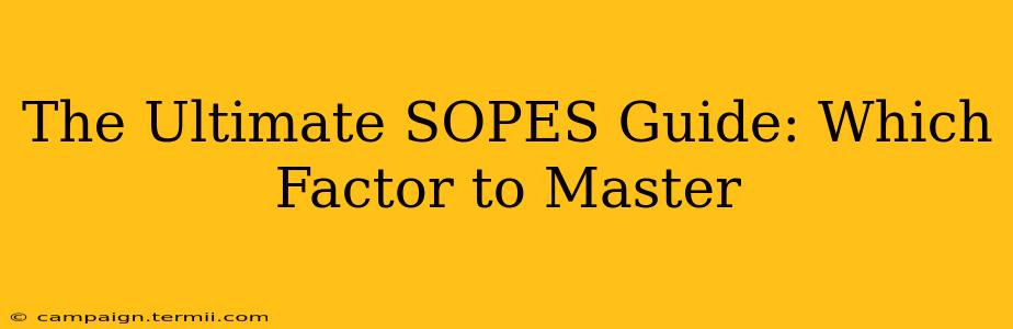 The Ultimate SOPES Guide: Which Factor to Master