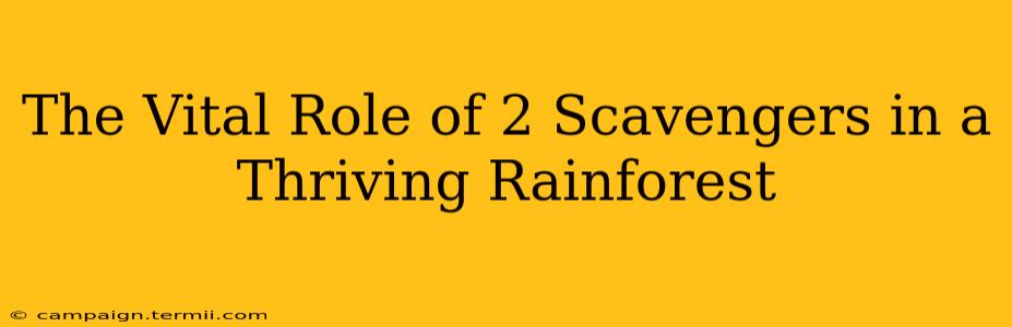 The Vital Role of 2 Scavengers in a Thriving Rainforest