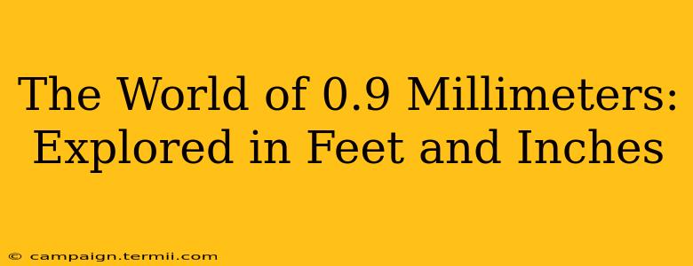 The World of 0.9 Millimeters: Explored in Feet and Inches