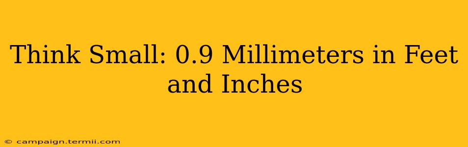 Think Small: 0.9 Millimeters in Feet and Inches