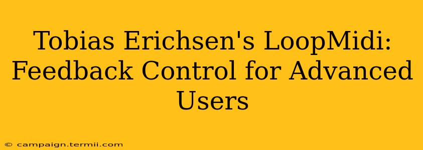 Tobias Erichsen's LoopMidi: Feedback Control for Advanced Users