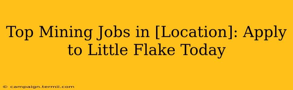 Top Mining Jobs in [Location]: Apply to Little Flake Today