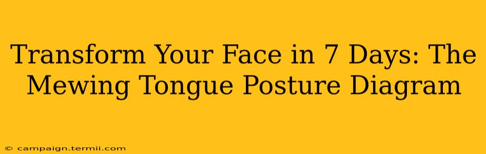 Transform Your Face in 7 Days: The Mewing Tongue Posture Diagram