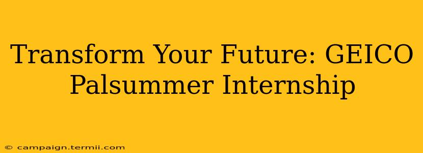 Transform Your Future: GEICO Palsummer Internship