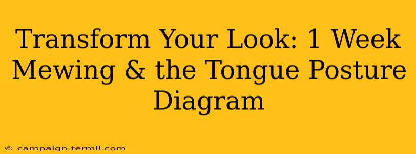 Transform Your Look: 1 Week Mewing & the Tongue Posture Diagram