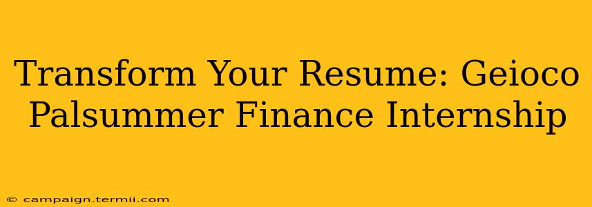 Transform Your Resume: Geioco Palsummer Finance Internship