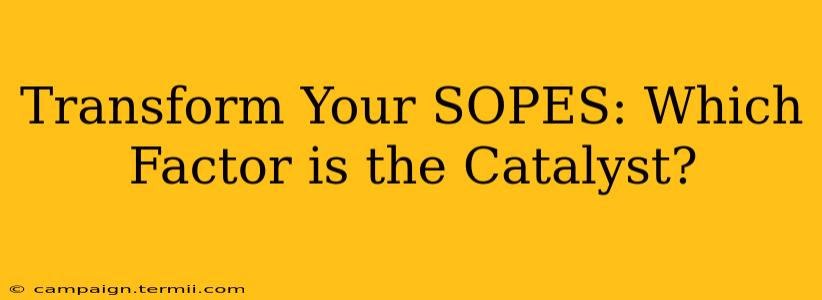 Transform Your SOPES: Which Factor is the Catalyst?