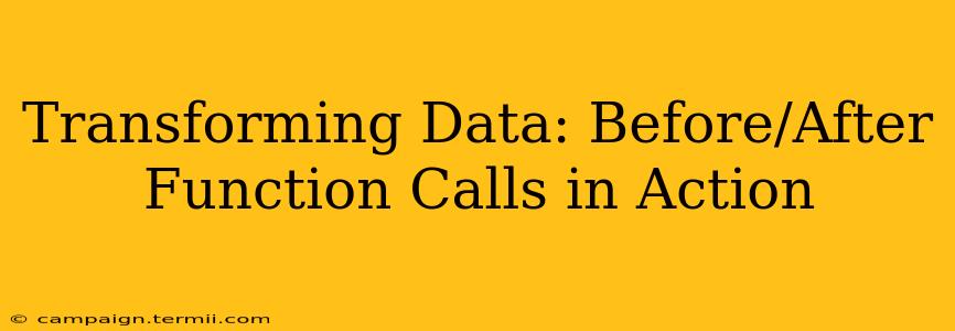 Transforming Data: Before/After Function Calls in Action