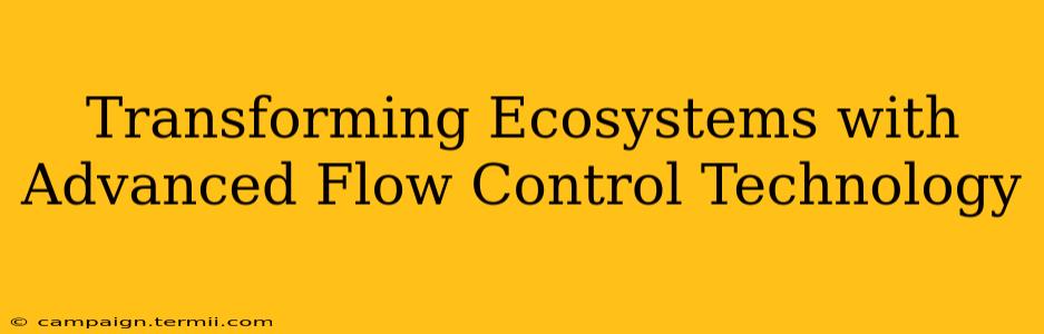 Transforming Ecosystems with Advanced Flow Control Technology