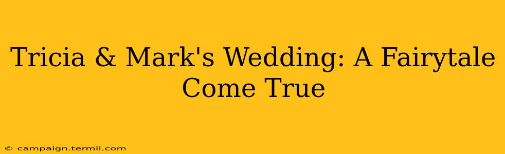 Tricia & Mark's Wedding: A Fairytale Come True