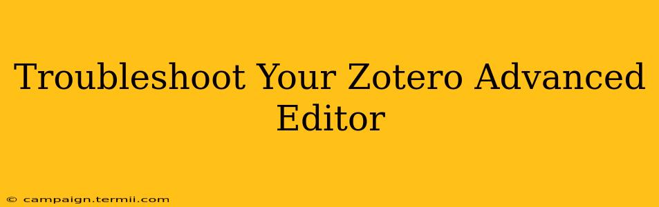 Troubleshoot Your Zotero Advanced Editor