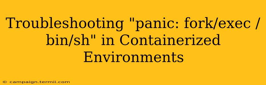 Troubleshooting "panic: fork/exec /bin/sh" in Containerized Environments