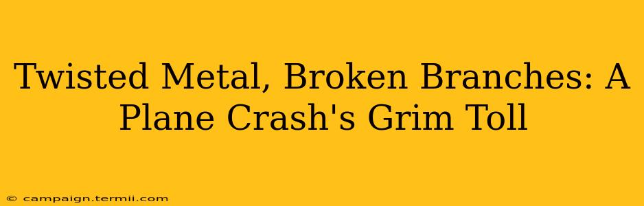 Twisted Metal, Broken Branches: A Plane Crash's Grim Toll