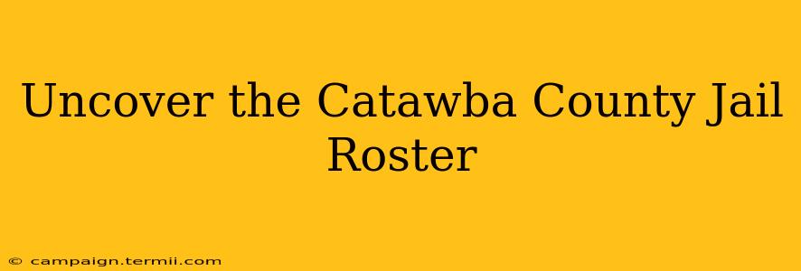 Uncover the Catawba County Jail Roster