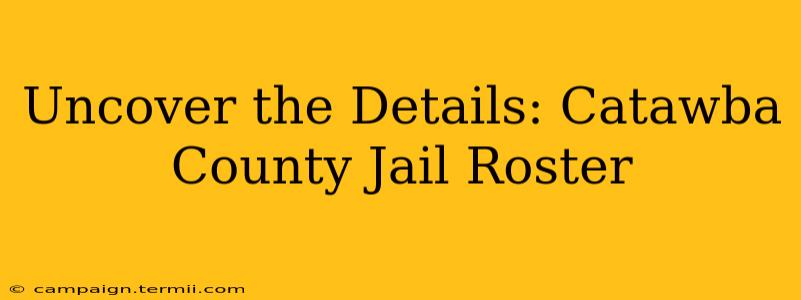 Uncover the Details: Catawba County Jail Roster