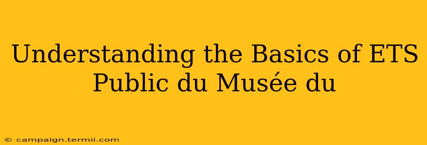 Understanding the Basics of ETS Public du Musée du