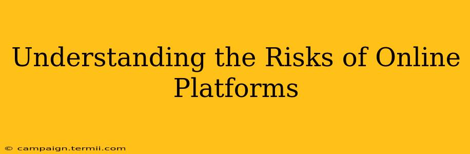 Understanding the Risks of Online Platforms