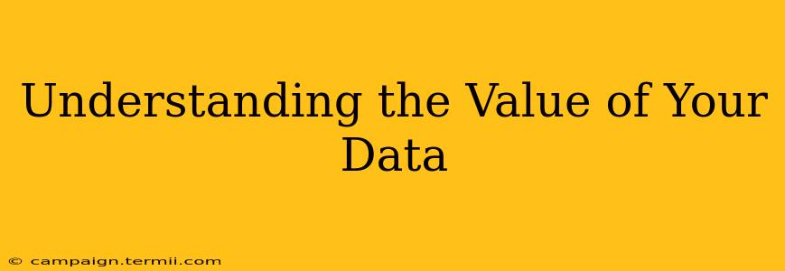 Understanding the Value of Your Data