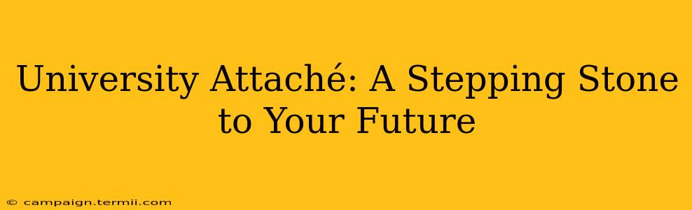 University Attaché: A Stepping Stone to Your Future